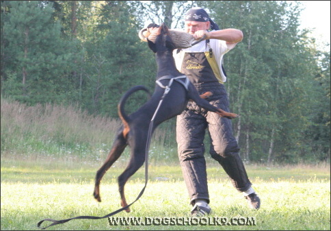 Summer training camp in Finland 2007